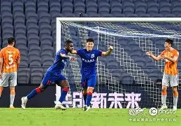 九州娱乐官方网站登录入口（九州娱乐体育、真人、游戏）-精彩大战！申花客场-逆转深圳，取得三连胜的简单介绍